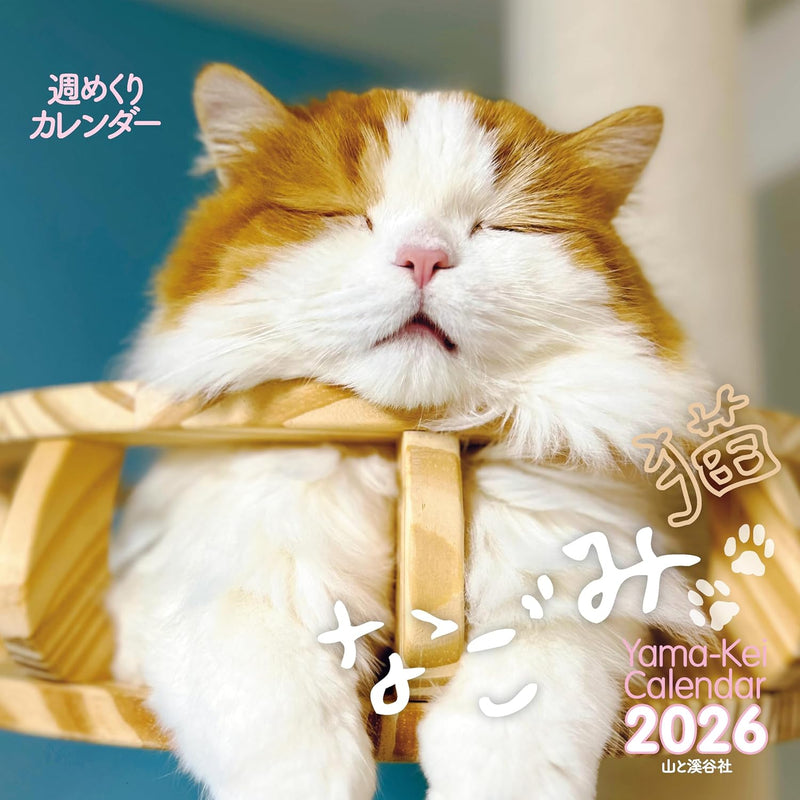 Yama-kei Calendar 2026 Nagomi Cat Weekly Calendar (Weekly Calendar / Desk / Ring)