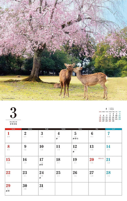 Japanese Garden Calendar 2026 (Monthly/Wall Calendar)