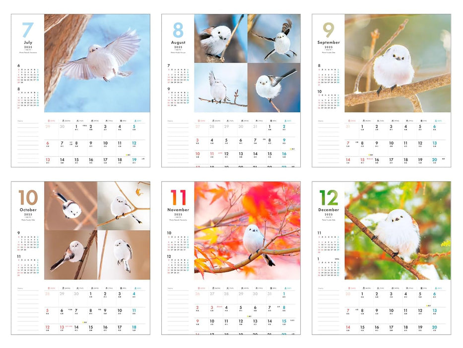 Plenty of Space Calendar: Fuwamofu Shimaenaga to Issho Calendar+Memo 2025 (Impress Calendar 2025)