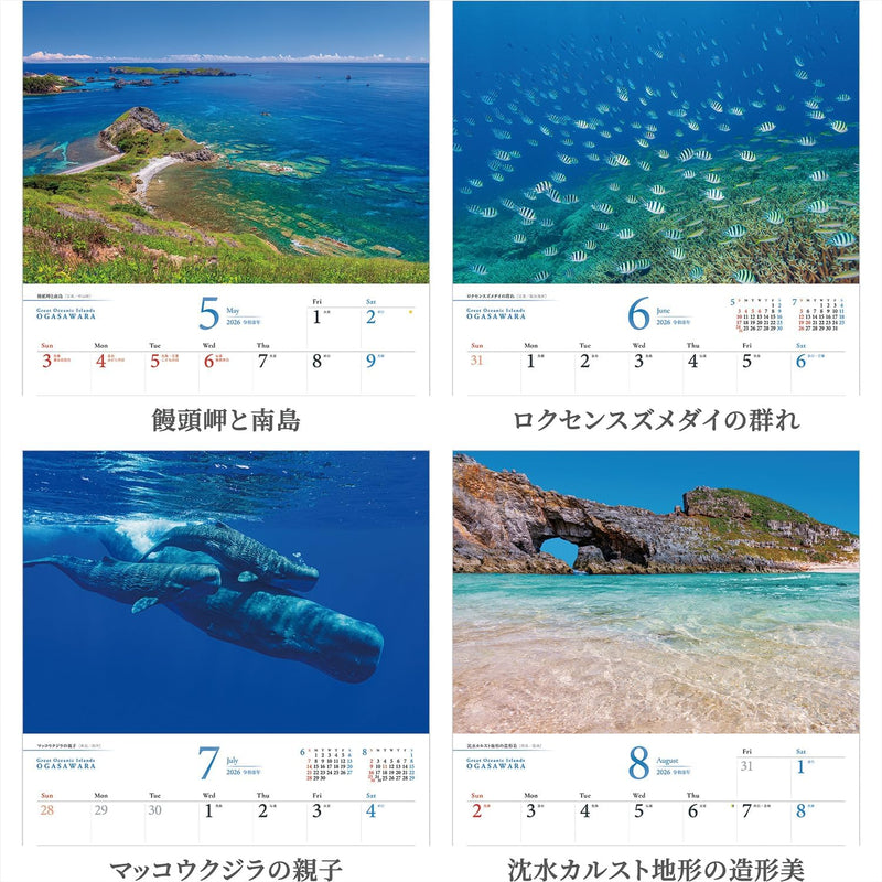 Shashin Koubou Calendar 'Great Oceanic Islands OGASAWARA' 2026 Wall Calendar (with Paper Holder)
