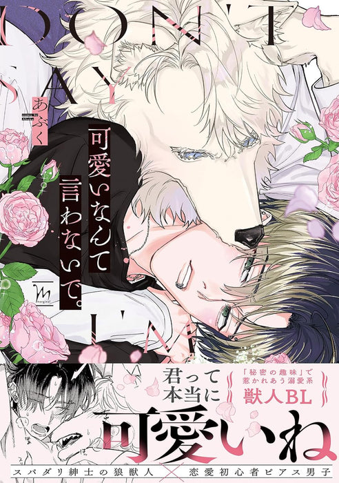 Kawaii Nante Iwanaide.