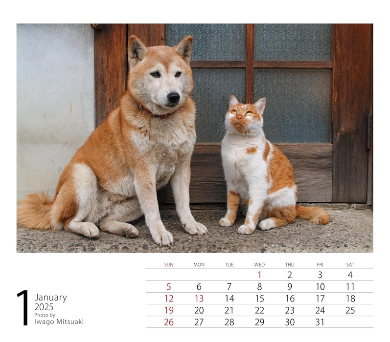 2025 Mini Calendar Mitsuaki Iwago Friends