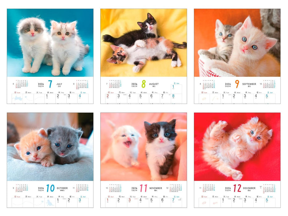 Calendar 2026 Fuwa Fuwa Nyanko (Monthly/Wall Calendar) (Impress Calendar 2026)