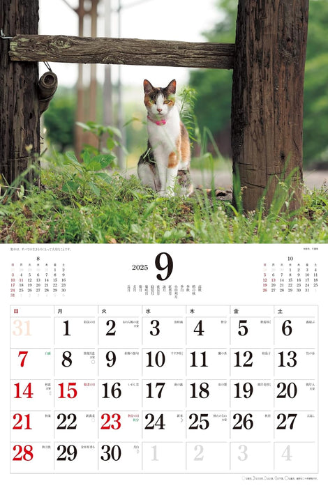 2025 Japanese Cats Calendar