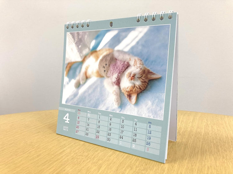 Kitten's Lullaby: 2025 Charity Calendar for Rescue Cats (Monthly / Desktop, Ring Binding)