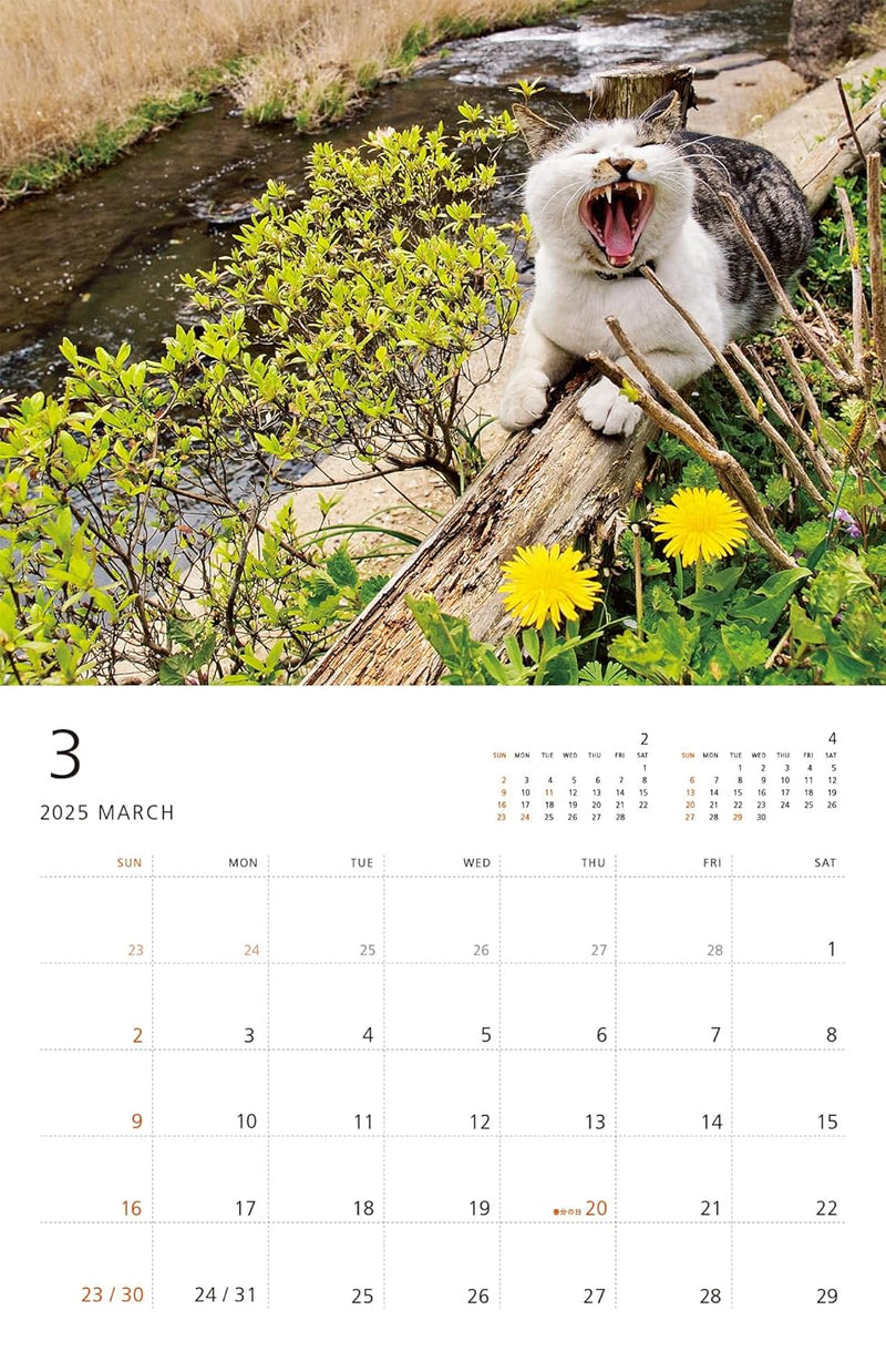 Mitsuaki Iwago Cat Wall Calendar 2025