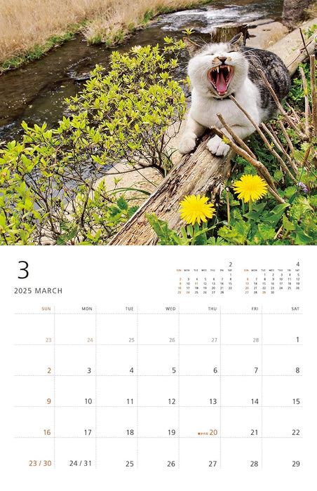 Mitsuaki Iwago Cat Wall Calendar 2025