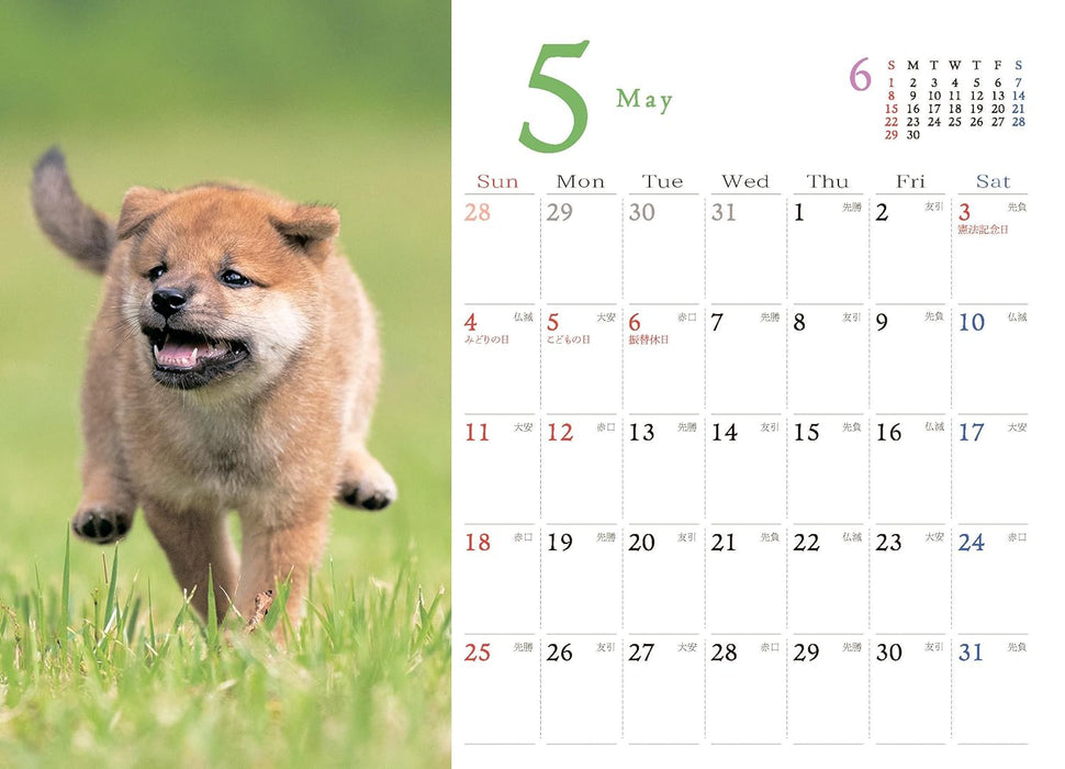 Shiba Inu Desk Calendar 2025