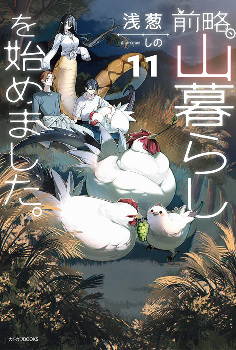Zenryaku, Yamagurashi wo Hajimemashita. 11 (Light Novel)