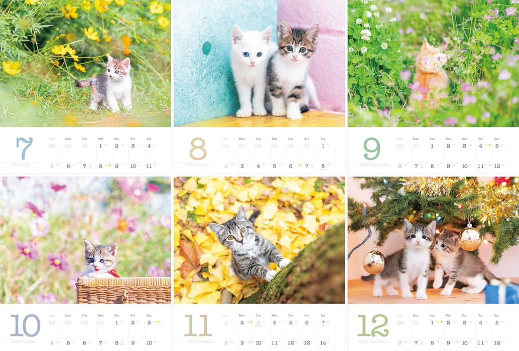 Living with Kittens: 2026 Charity Calendar for Rescue Cats (Monthly/Wall Calendar) (Yama-kei Calendar 2026)