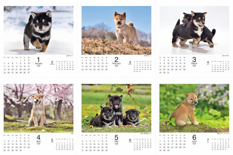 2026 Koshiba Calendar (Flip Desk/Ring Calendar) (Yama-Kei Calendar 2026)