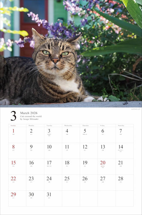 2026 Free Cats of the World Calendar