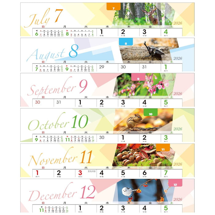 Todan 2026 Desk Calendar All Paper Radiance of the Forest 12.8 x 18.4cm TD-239