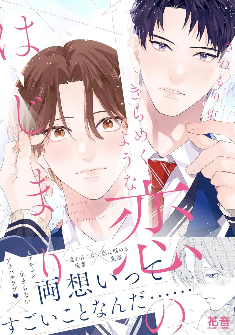 Kirameku Youna Koi no Hajimari
