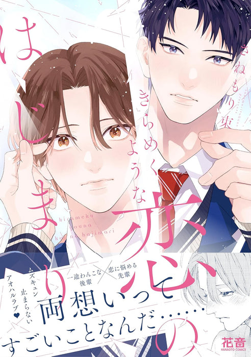 Kirameku Youna Koi no Hajimari