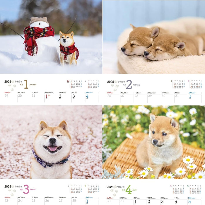 JTB Calendar Wanko 2025 Wall Calendar