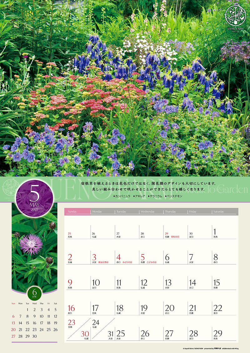 Try-X 2027 Wall Calendar Ueno Farm Hokkaido Garden 27CL-478 52x36cm