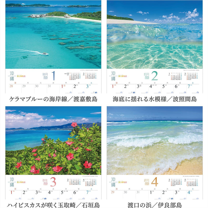 Shashin Koubou Calendar 'Okinawa Churaumi Monogatari' 2026 Wall Calendar (with Transparent Holder)