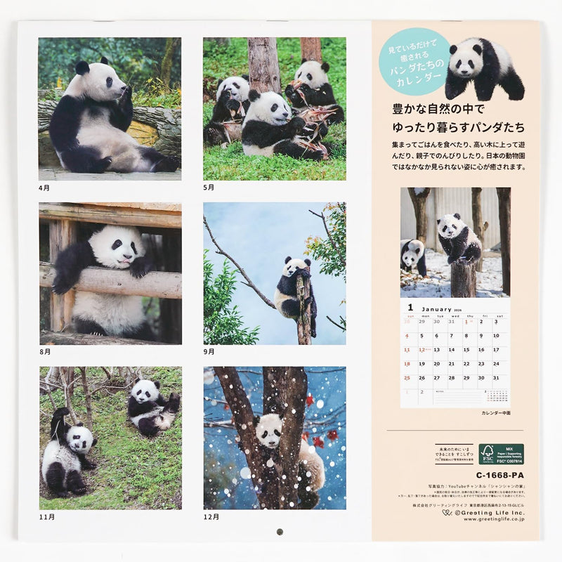 Greeting Life 2026 Wall Calendar Panda C-1668-PA