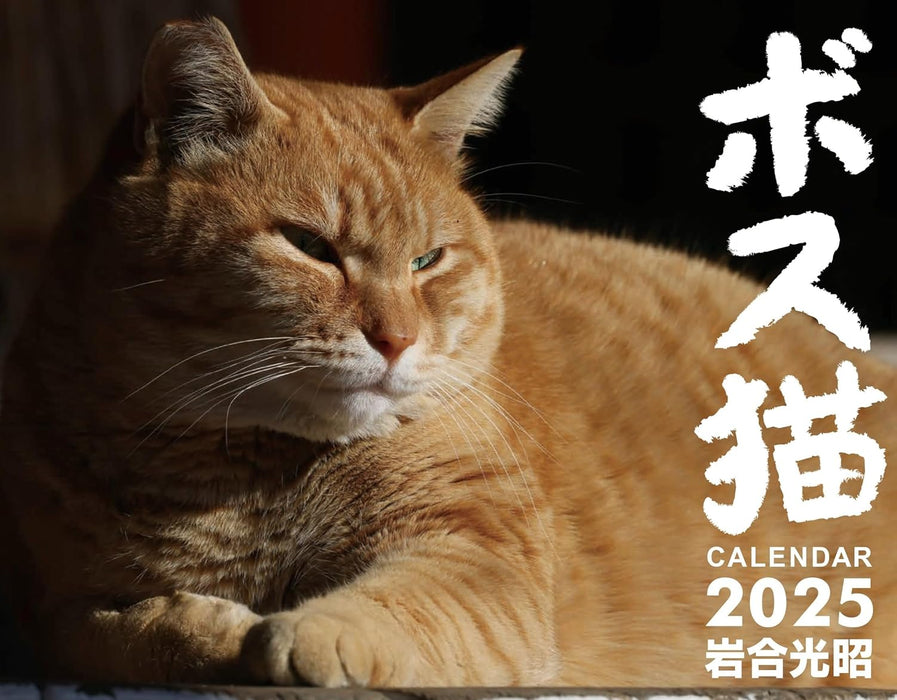 Boss Cat Calendar 2025