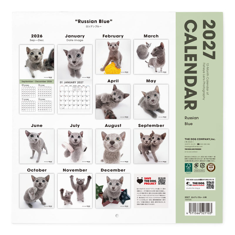 THE CAT 2027 Wall Calendar Large Size [Russian Blue]