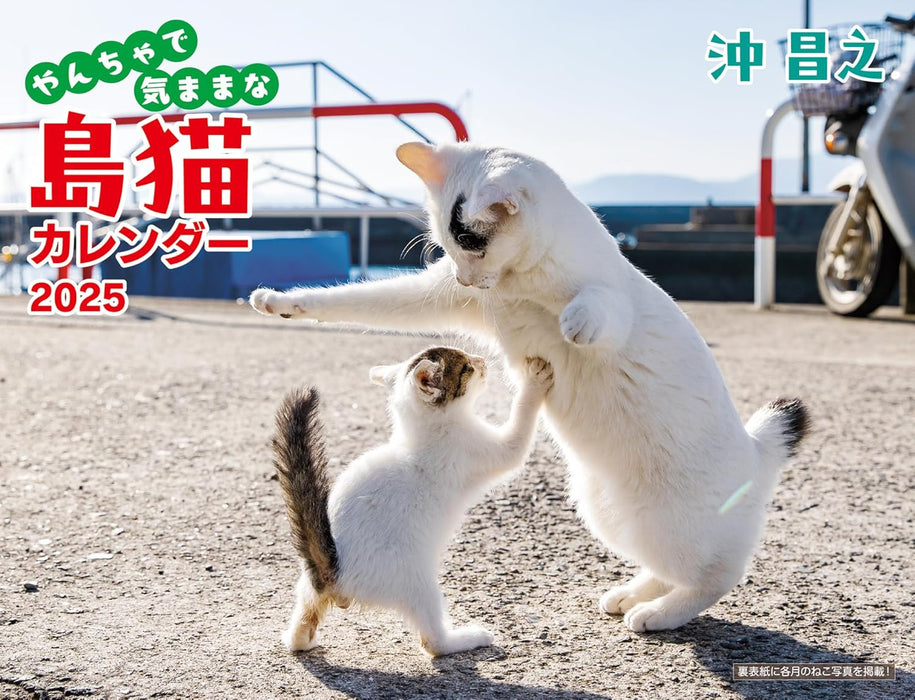 2025 Masayuki Oki Playful and Free-Spirited Island Cat Calendar