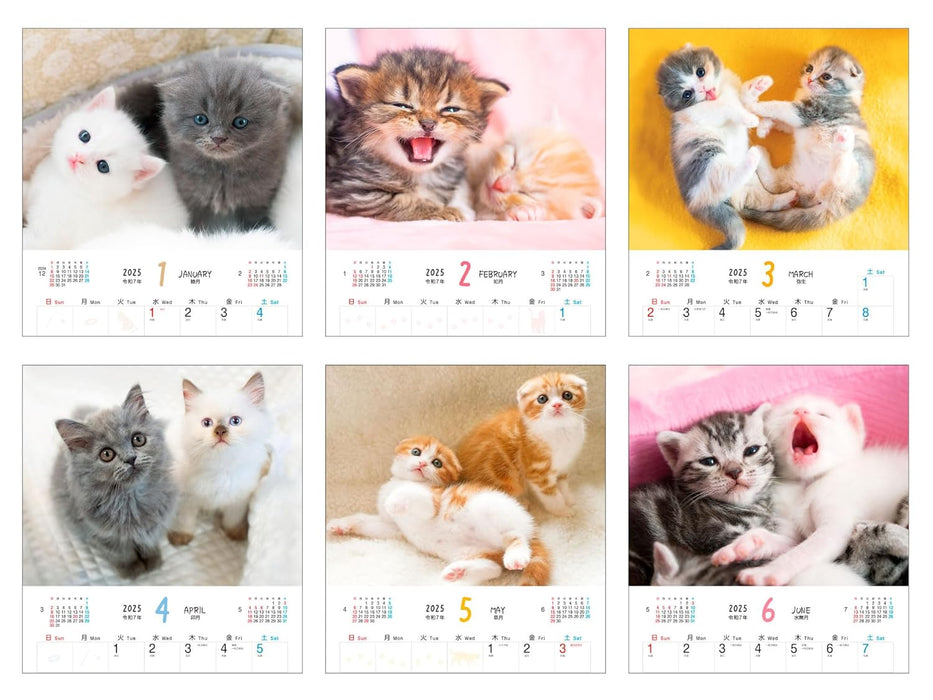 Calendar 2025 Fuwa Fuwa Nyanko (Monthly/Wall Calendar) (Impress Calendar 2025)