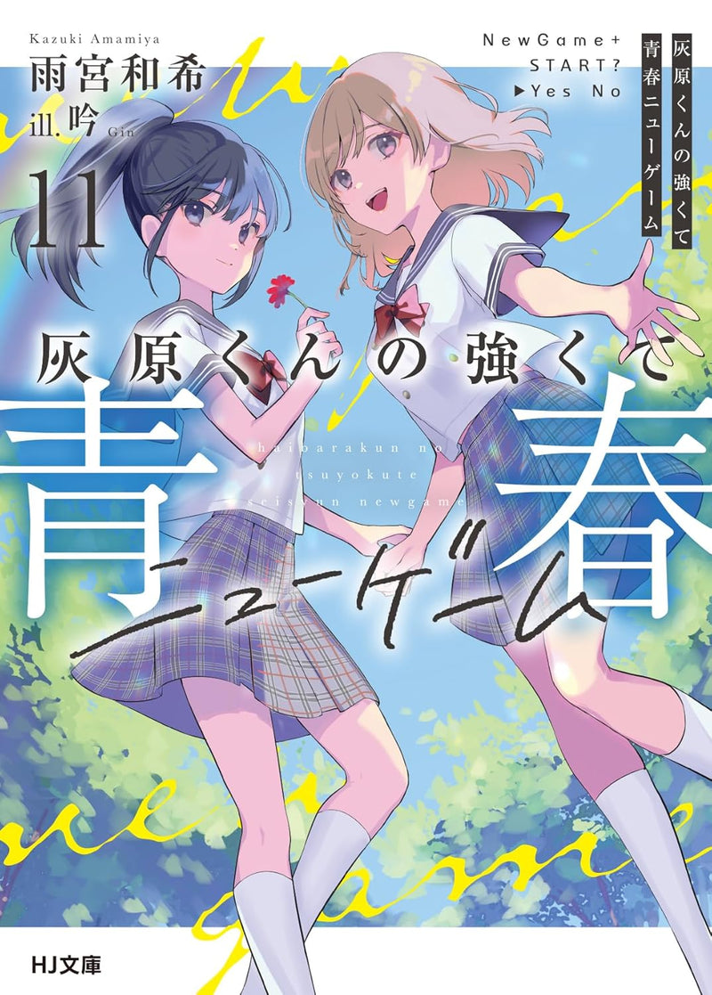 Haibara-kun no Tsuyokute Seishun New Game 11 (Light Novel)