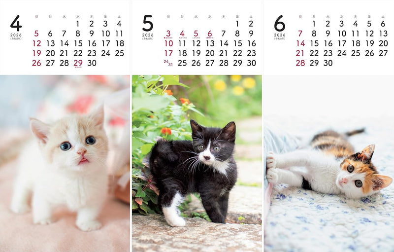 Calendar 2026 - Mini Calendar 'Koneko' (Yama-kei Calendar 2026)