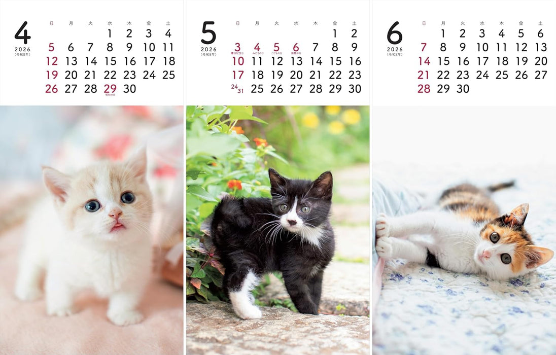 Calendar 2026 - Mini Calendar 'Koneko' (Yama-kei Calendar 2026)