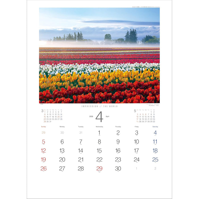 Todan 2026 Wall Calendar Impression of the World 59.8 x 42.5cm TD-30651