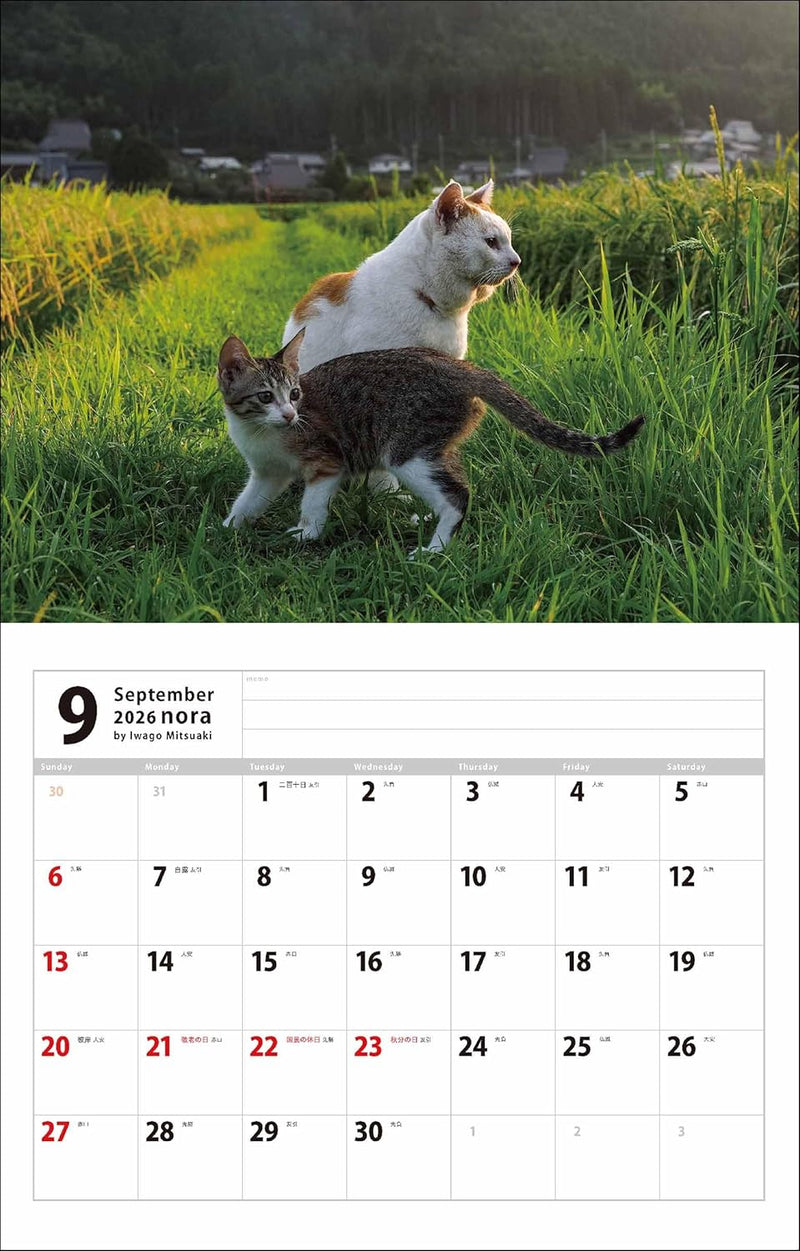 Mitsuaki Iwago Nora Calendar 2026