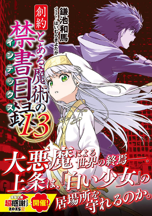 Souyaku Toaru Majutsu no Index 13 (Light Novel)