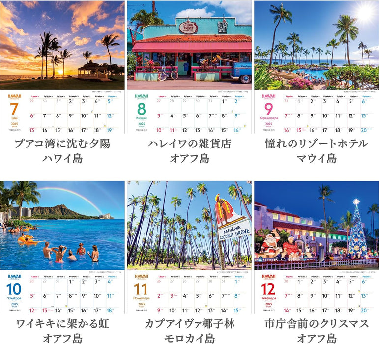 Shashin Koubou 'HAWAII Aloha Story' 2025 Wall Calendar (with Holder) 300 x 420mm