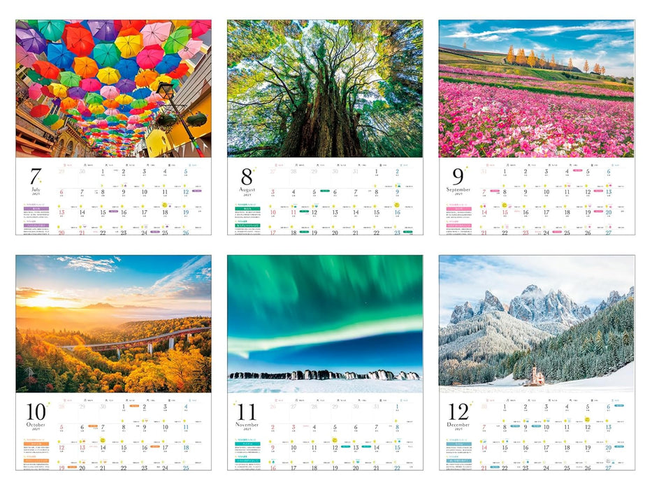 Tamako Suisho's Fortune: Landscapes of Happiness Calendar 2025 (Impress Calendar 2025)