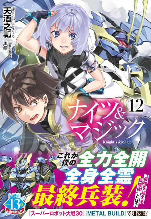 Knight's & Magic 12 (Light Novel)