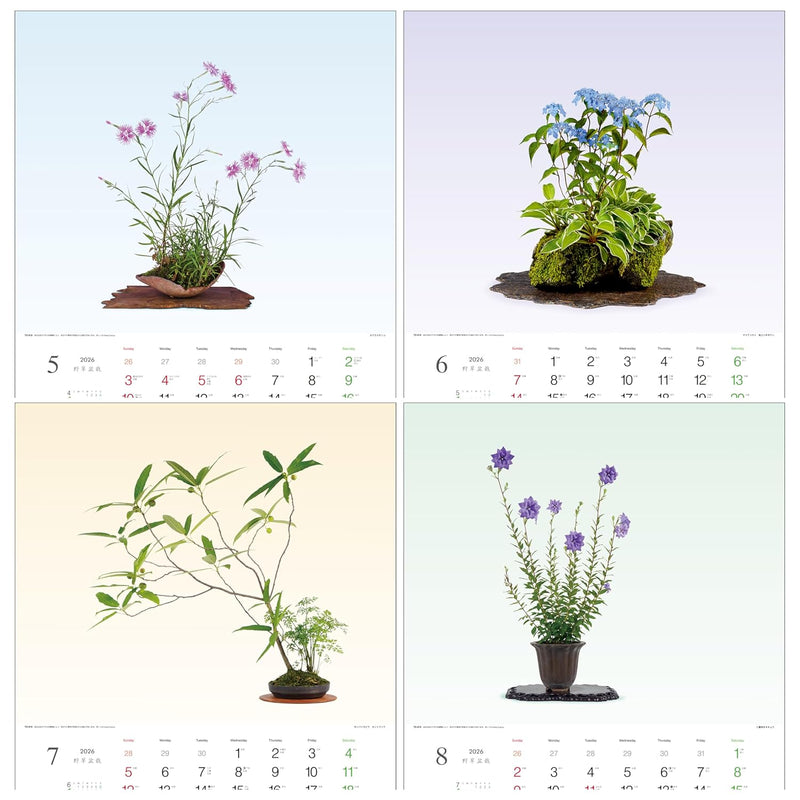 Todan 2026 Wall Calendar Wildflower Bonsai 53.5 x 38cm TD-819