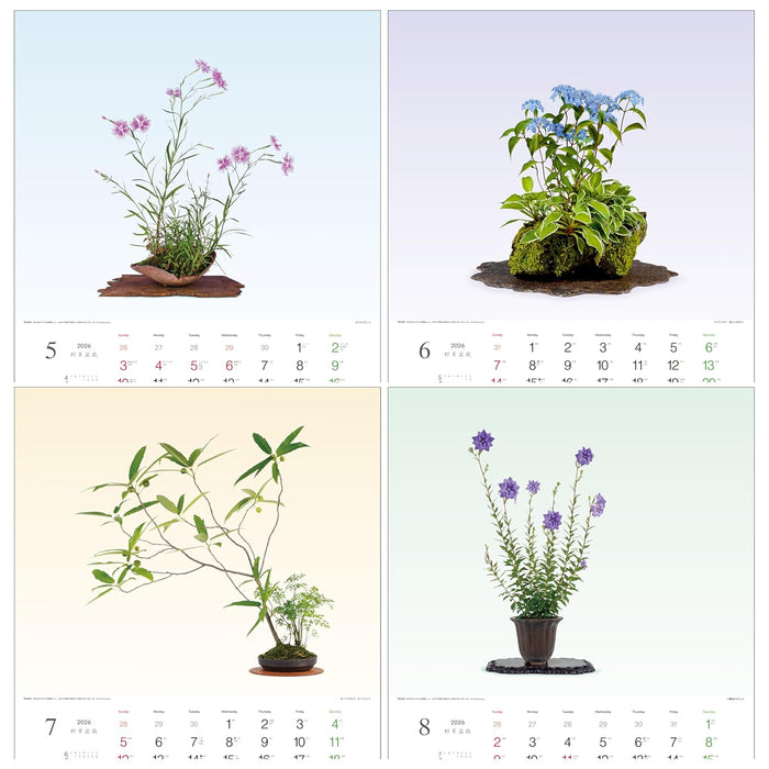 Todan 2026 Wall Calendar Wildflower Bonsai 53.5 x 38cm TD-819