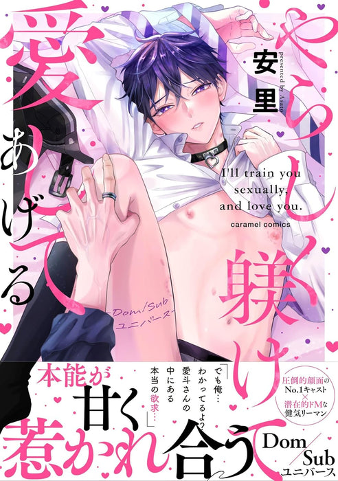 Yarashiku Shitsukete Aishite Ageru - Dom/Sub Universe -