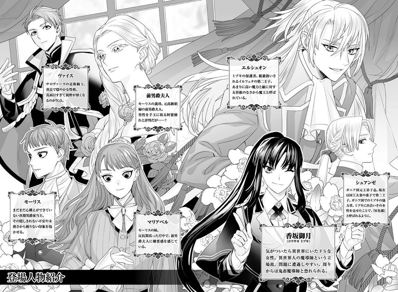 The Magician Wants Normality (Madoushi wa Heibon wo Nozomu) 35 (Light Novel)