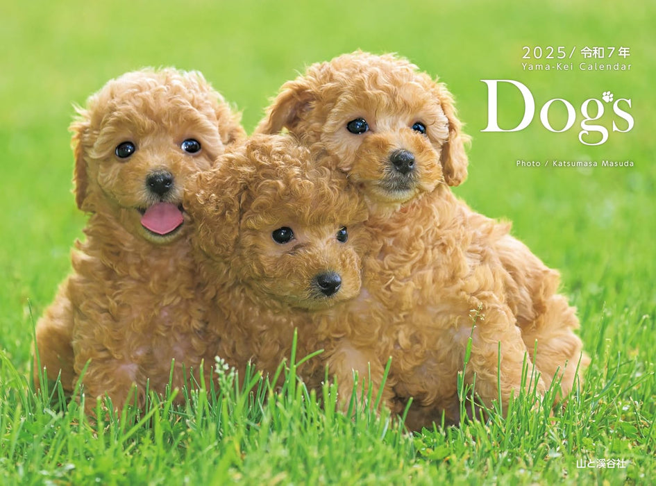 Calendar 2025 Dogs (Monthly/Wall Calendar) (Yama-kei Calendar 2025)