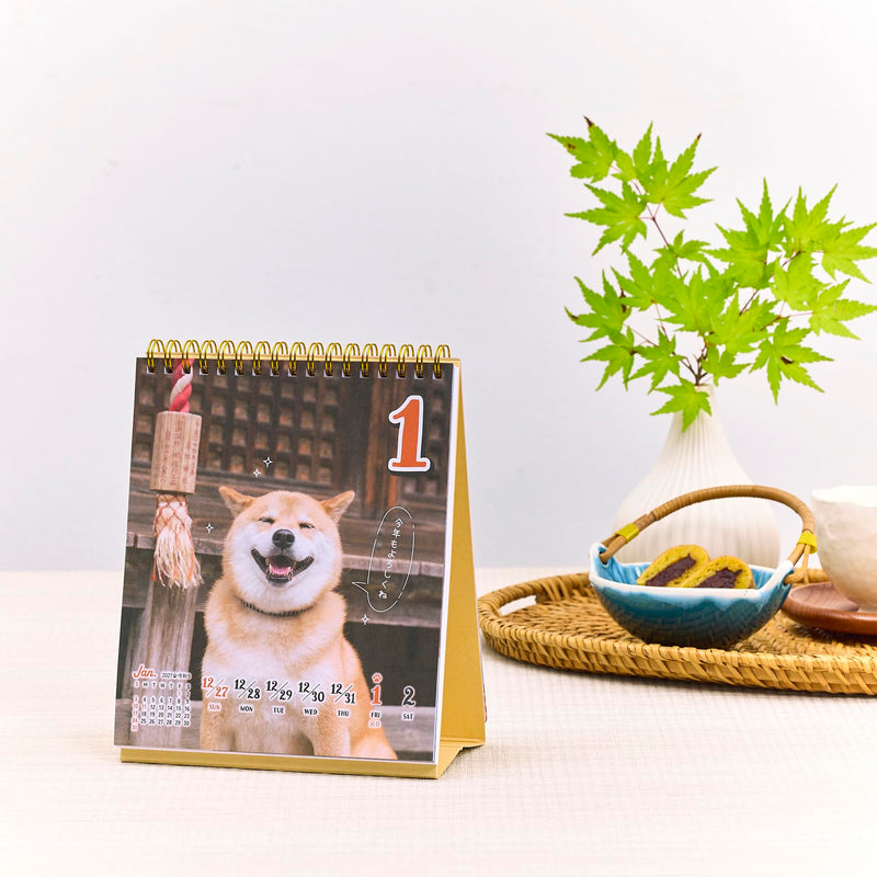 Eco Wall Calendar 2027 Modified B2 E31