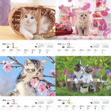 JTB Calendar Nyanko 2025 Wall Calenda