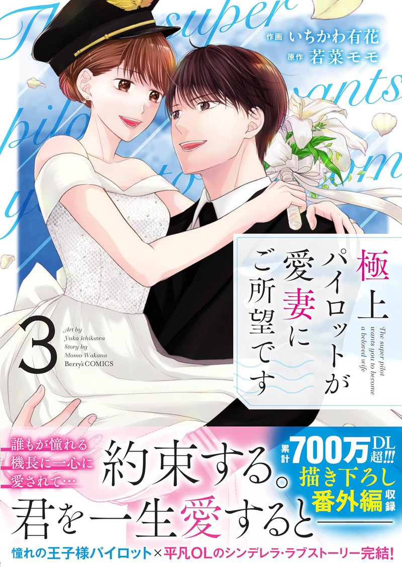 Gokujou Pilot ga Aisai ni Goshomoudesu 3
