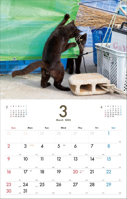 Black Cat Calendar 2025