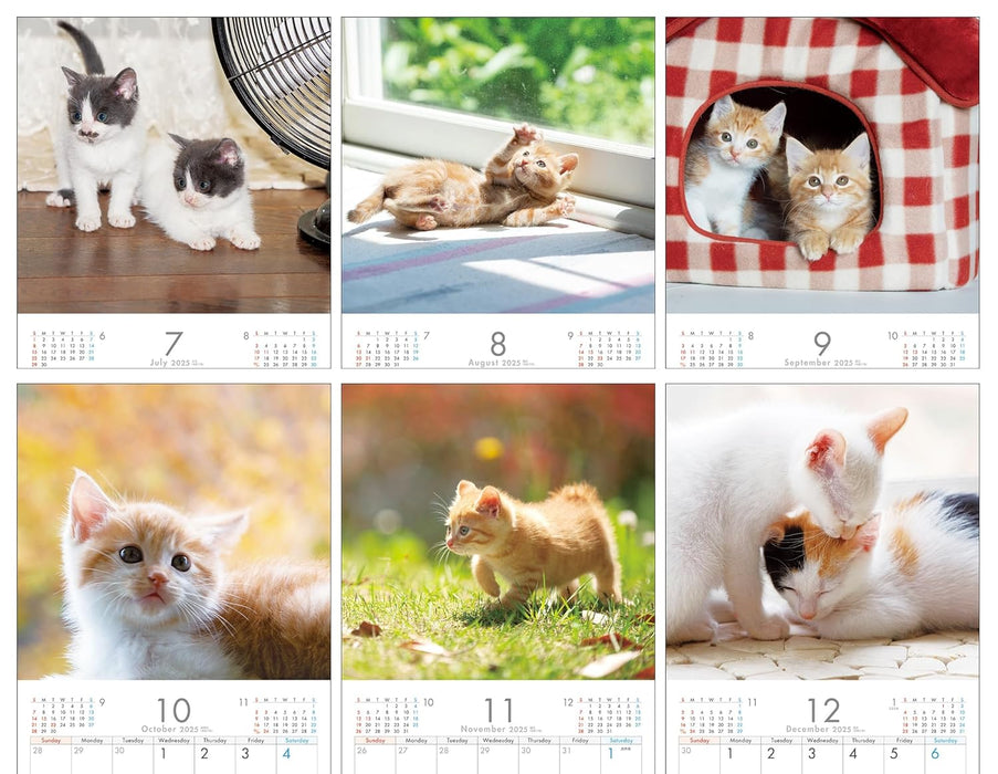 2025 Kitten Wall Calendar