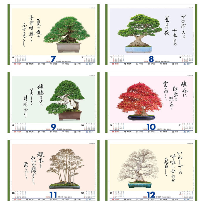 Todan 2026 Wall Calendar Bonsai Masterpiece Collection 60 x 42.5cm TD-665
