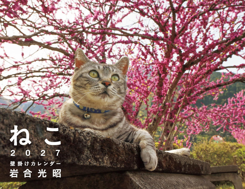 Takahashi 2027 Wall Calendar B4 E77