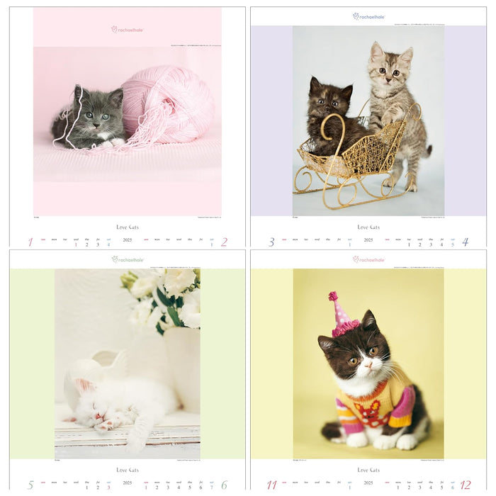 Todan 2025 Wall Calendar Love Cat - Rachel Hale Works - 53.5 x 38cm TD-934