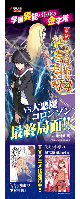Souyaku Toaru Majutsu no Index 14 (Light Novel)